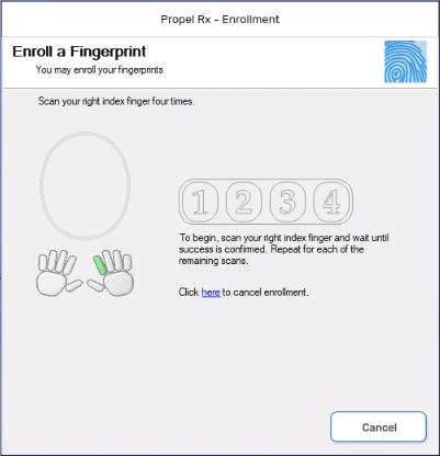 Fingerprint enrollment window