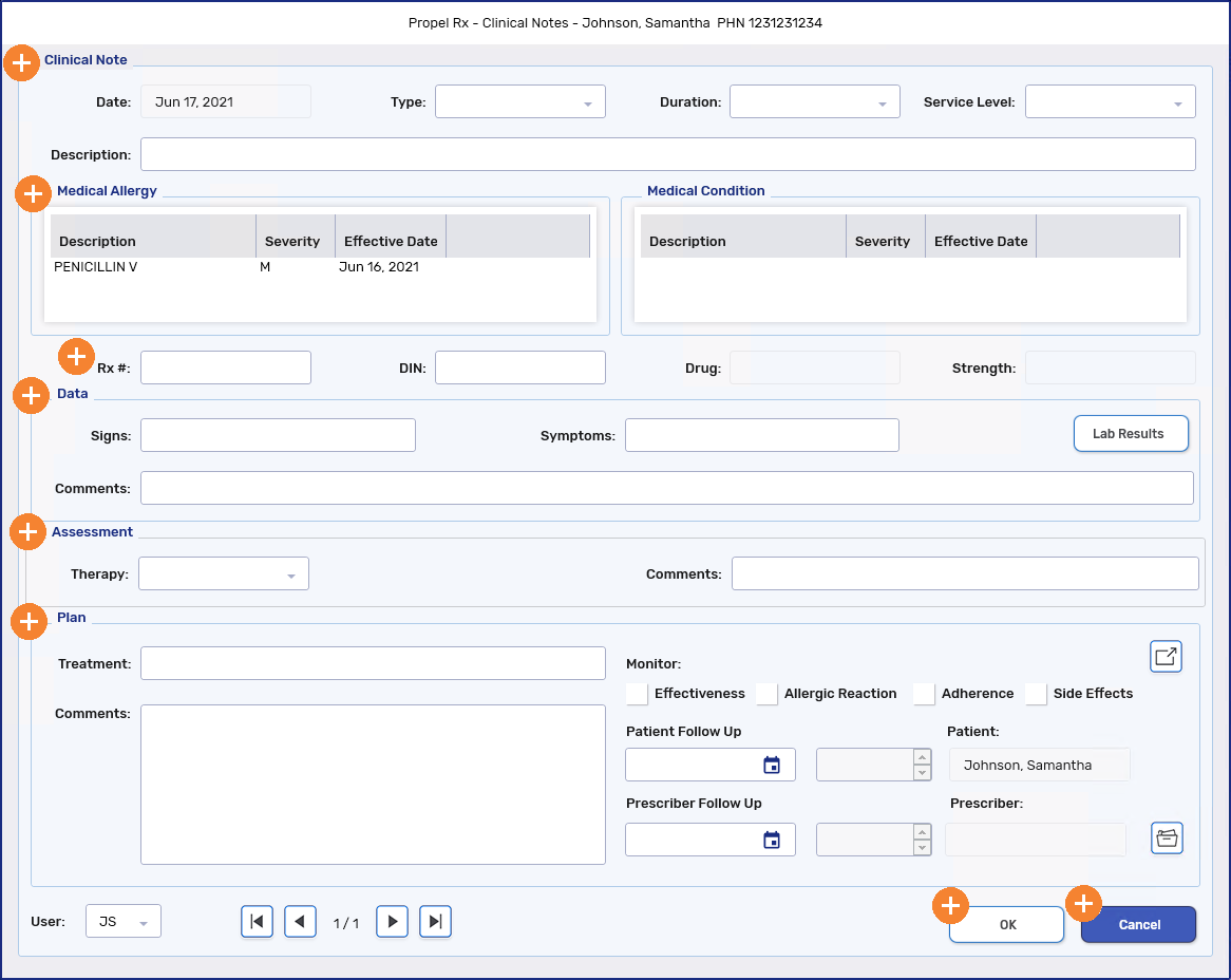 Clinical Notes Window Overview